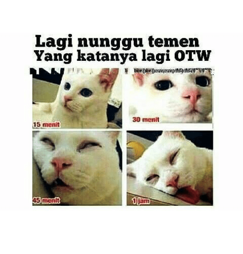 Meme Kocak OTW Ala Orang Indonesia