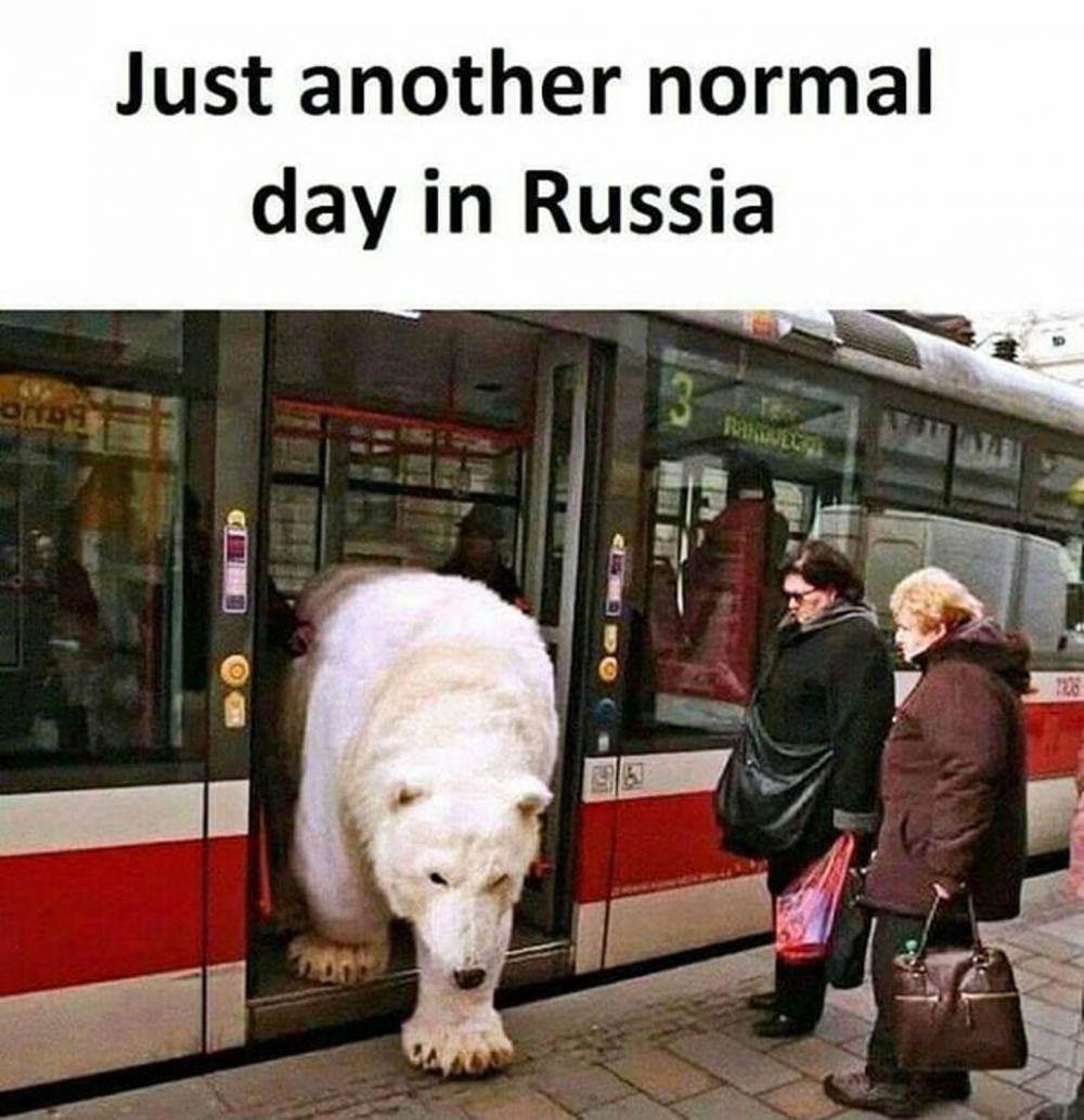 Meme Kocak Normal di Rusia Yang Tidak Akan Kamu Duga